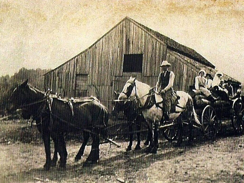 hauling logs